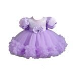 Purple Net Embroidery Work Ruffle Patterned Flared Short Sleeve Girl Frock