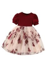Girls Embroidery Pattern Cap Sleeve Dress